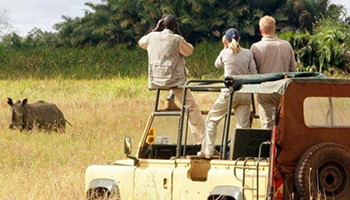 Tour Safaris